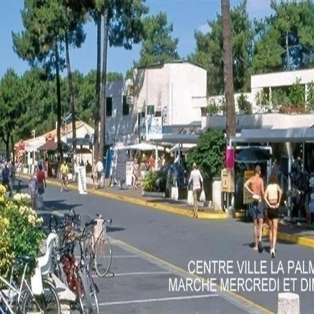 Villa Les Jardins De La Palmyre Avec Wifi
