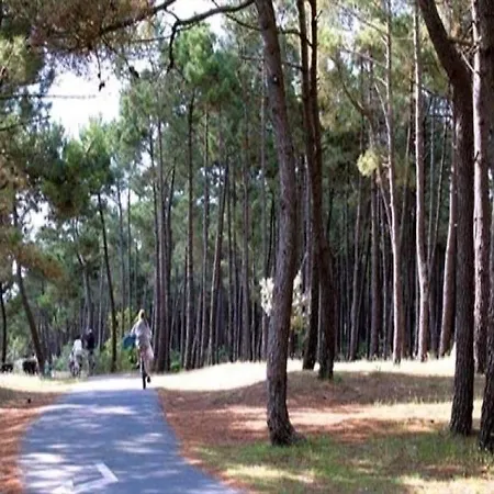 Villa Les Jardins De La Palmyre Avec Wifi