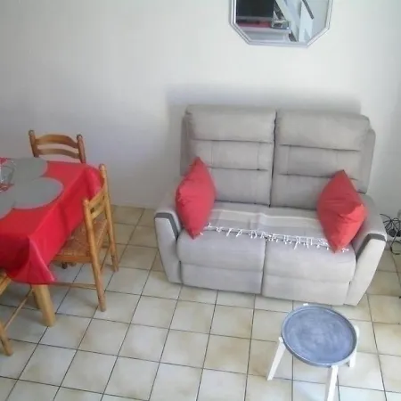 Les Jardins De La Palmyre Avec Wifi Villa *